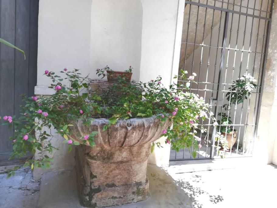 Residenza Lincoln Apartman Palermo Kültér fotó